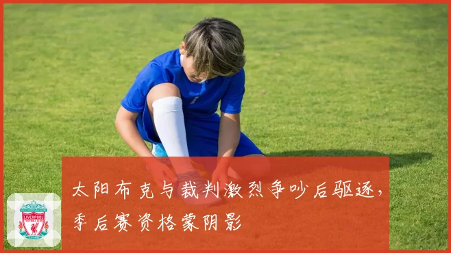 太阳布克与裁判激烈争吵后驱逐，季后赛资格蒙阴影