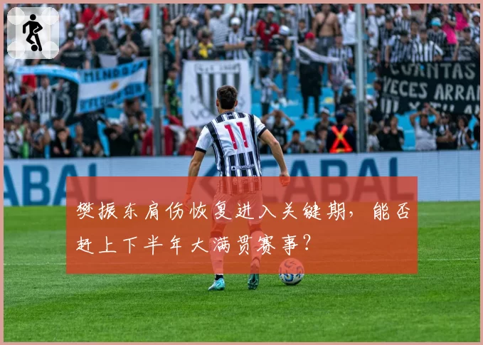 樊振东肩伤恢复进入关键期,能否赶上下半年大满贯赛事?